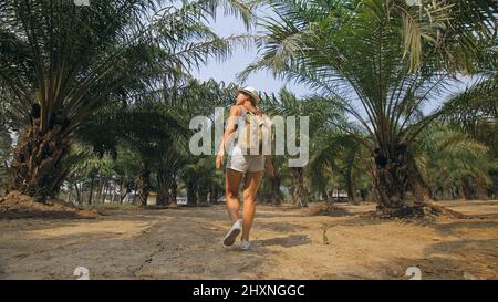 Donna turistica con passerelle passerelle guardando intorno a giovani alberi in crescita con foglie lussureggianti alla fattoria di palme da olio elaeis guineensis in giornata di sole. Concetto di coltivazione esotica, viaggi in paesi tropicali Foto Stock
