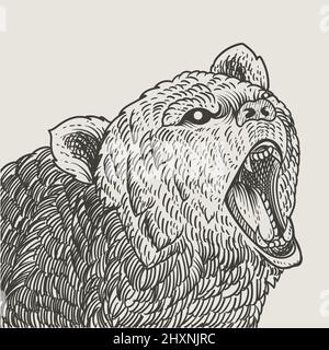 illustrazione vintage grizzly orso incisione stile Illustrazione Vettoriale