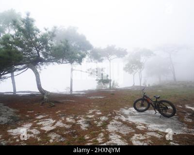 Thai gente viaggiatore in bicicletta viaggio in bicicletta visitare laghetto anodardo e piscina di pietra nella giungla foresta con nebbia nebbia mentre piove in inverno a Phu Kradueng Na Foto Stock