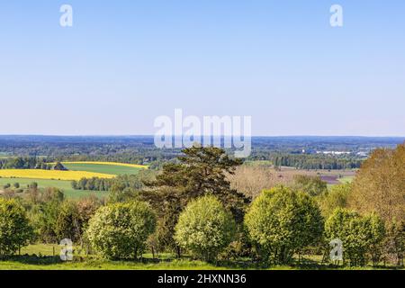 Vista sul paesaggio con lussureggianti alberi verdi Foto Stock
