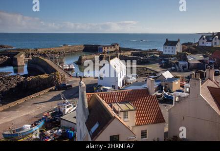 St Abbs villaggio di pescatori sulla costa orientale scozzese, Scozia, Europa Foto Stock
