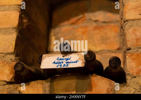 Le bottiglie di vino nella cantina di archivio, Ezerjo, Ungheria Foto Stock