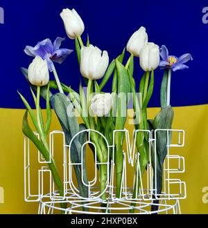 La casa è l'Ucraina. Lo sfondo è giallo blu bandiera Ucraina nazionale a casa con tulipani fiori. Guerra in Ucraina. La Russia ha attaccato l'Ucraina 24.02.2022 Foto Stock