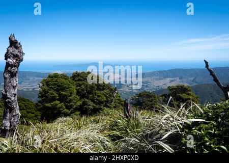 Vista su Waikanae e Kapiti Island dal Monte Kapakapanui, Kapiti, Wellington, Isola del Nord, Nuova Zelanda Foto Stock