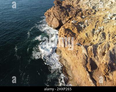 La testa del drago sorge dall'acqua - la roccia o la formazione di lava con la forma di un grande animale. Popolare destinazione di viaggio formazione di roccia vulcanica in Foto Stock