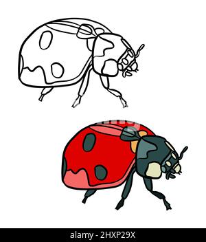 Illustrazione di un libro da colorare a colori e in bianco e nero. Disegno di un ladybug su uno sfondo bianco isolato. Illustrazione di alta qualità Foto Stock