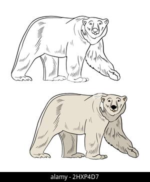 Illustrazione di un libro da colorare a colori e in bianco e nero. Disegno di un orso polare su uno sfondo bianco isolato. Illustrazione di alta qualità Foto Stock