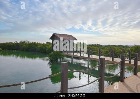 Isola viola piena di mangrovie a Thakira. Conosciuto come Dakhira Foto Stock