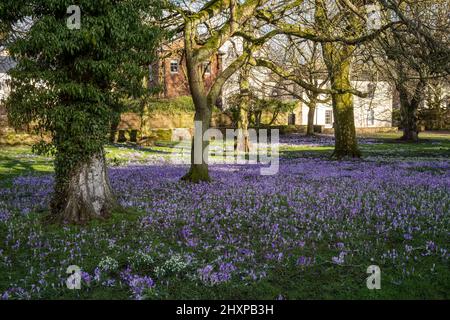 Un tappeto accogliente di croci a St Andrew's Churchyard, Penrith, Cumbria, Regno Unito Foto Stock