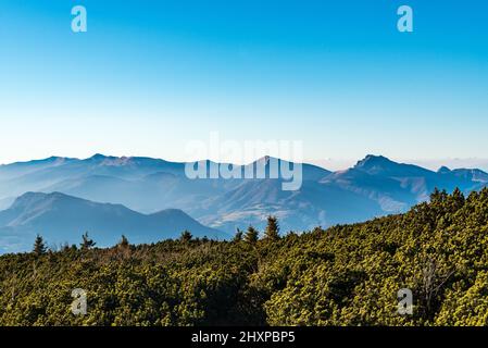 Krivanska Mala Fatra cresta di montagna da Velky Choc collina in Chocske vrchy montagne in Slovacchia durante la bella fine di autunno giorno Foto Stock