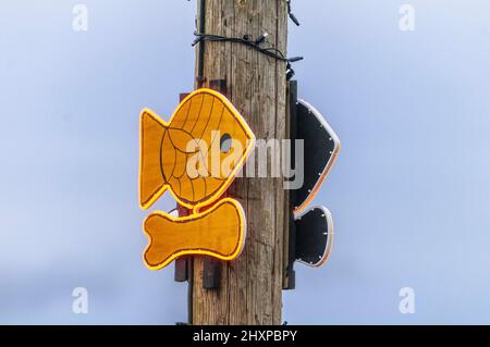 Cartello per negozio di fiches e pesci elettrici al neon. Foto Stock