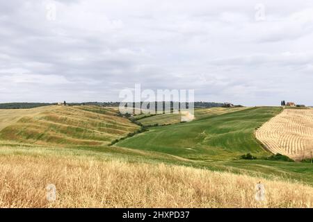 Colline toscane con prati coltivati e fattorie solistiche in Val d'Orcia, Italia Foto Stock
