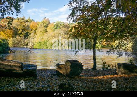 Lago BOLAM, vicino a Morpeth, Northumberland, Regno Unito. Foto Stock