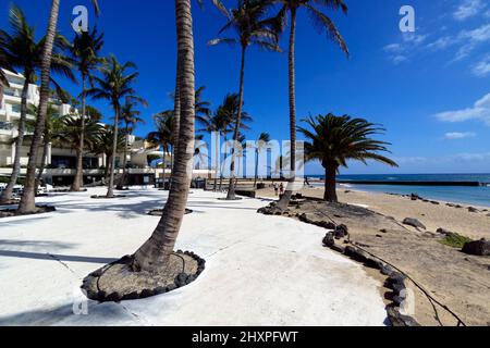 Playa De Las Cucharas, Costa Teguise, Lanzarote, Isole Canarie, Spagna. Foto Stock