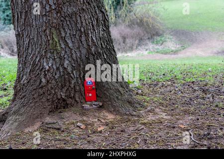 Una porta Fantasy alla base di un grande albero in Abington Park, creatore sconosciuto. Northampton, Inghilterra, Regno Unito. Foto Stock