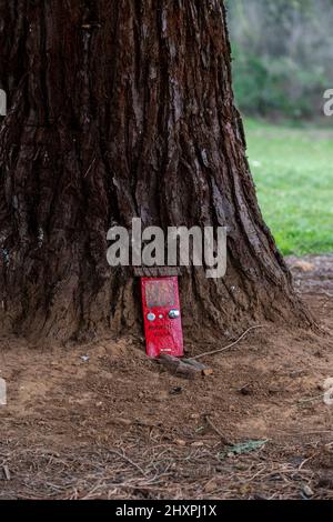 Una porta Fantasy alla base di un grande albero in Abington Park, creatore sconosciuto. Northampton, Inghilterra, Regno Unito. Foto Stock