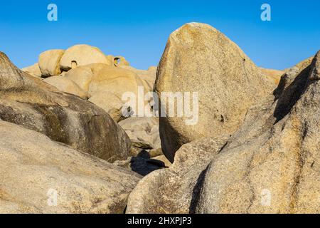 Acantilados de papel (scogliere di carta) nella zona di Rías Altas a Gaiicia al tramonto con formazioni rocciose sinuose. Foto Stock