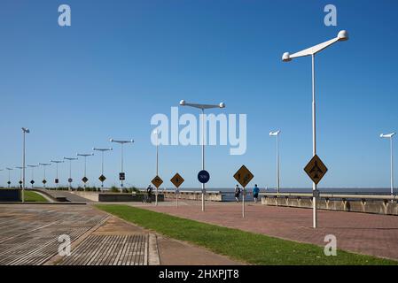 Buenos Aires, Argentina; 01 febbraio 2020: Parco dei Rimembranze, Monumento alle vittime del terrorismo di Stato effettuato dal governo durante l'ultima civi Foto Stock