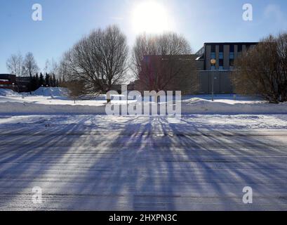 Ombra di rami di alberi su terreno coperto di neve bianca e luce solare sullo sfondo Foto Stock