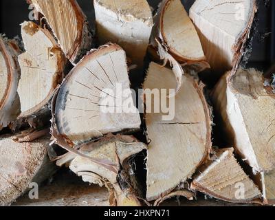 Sezione di taglio di legno impilato deposito per camino in inverno Foto Stock