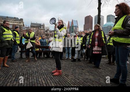 I membri del movimento dei gilet gialli protestano davanti al parlamento dell'Aia. Foto Stock