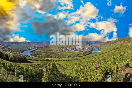 Famoso fiume Moselle ansa in Trittenheim, Germania. Foto Stock