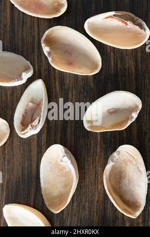 Vista dall'alto di gusci di pistacchio vuoti su tavola di legno scuro Foto Stock