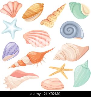 Cartoni animati con conchiglie e stelle marine, oceano tropicale con conchiglia. Lumaca, ostrica, conchiglie di vongole, conchiglie di molluschi marini, set di elementi di spiaggia estiva. Animali subacquei isolati su bianco Illustrazione Vettoriale