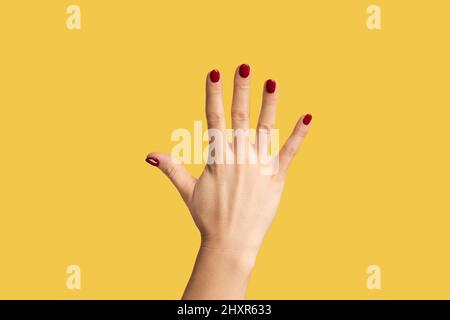 Profilo vista laterale primo piano della mano della donna che mostra il numero cinque con la mano o la mano che ondita per salutare. Studio interno girato isolato su sfondo giallo. Foto Stock