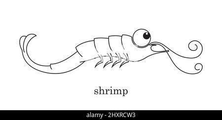 Disegno del contorno di un gambero cartoon su sfondo bianco. Illustrazione Vettoriale
