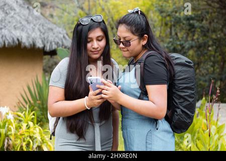 Girato di due ragazze in un parco e guardando qualcosa al telefono insieme Foto Stock