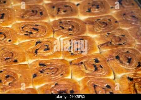 Chelsea Buns al Fitzbillies Cafe, Cambridge, Regno Unito Foto Stock