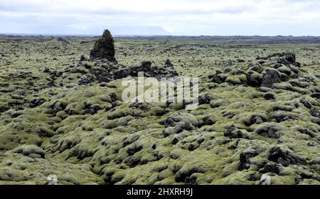 Vista del campo di lava di Eldhraun coperto di massi mossi in Islanda Foto Stock