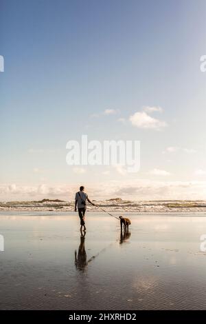 Un uomo cammina con il cane su un guinzaglio in una scena di spiaggia luminosa Foto Stock