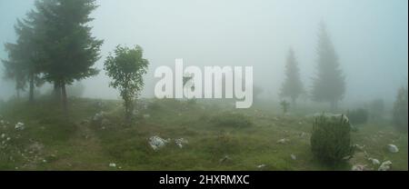 Vista panoramica della nuvola di nebbia mattutina estiva in uno scenario di montagna con chalet di montagna tradizionale. Zabljak, Durmitor, Montenegro Foto Stock