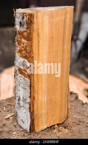 tronchi di legno, parte di un primo piano di legno scheggiato Foto Stock