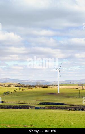 Turbina eolica singola in piedi in un campo su una fattoria rurale. Nessuna gente. Foto Stock