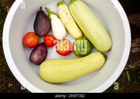 Pomodori biologici lavati, melanzane, pepe e zucchine in recipiente di plastica. Verdure fresche di stagione scelte dal giardino, tempo di raccolta Foto Stock