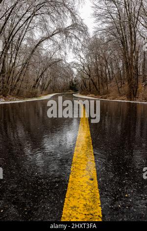La strada di traffico vuota e umida che passa attraverso le file di alberi senza frondoli in una giornata buia Foto Stock
