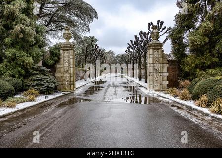 Il sentiero bagnato che passa attraverso le file di alberi nel parco contro un cielo nuvoloso in una giornata buia Foto Stock