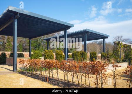 Pergolas d'acciaio nel giardino formale nel giardino murato Kirkleatham commemorando l'industria siderurgica che in precedenza fiorì nella zona Foto Stock