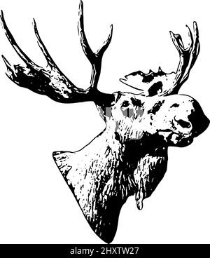Testa di Moose con corna in nero su sfondo bianco Illustrazione Vettoriale