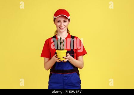 Ritratto di donna sorridente giardiniere positivo in piedi con vaso giallo fiore in mani, mostrando cactus pungente, indossare tute e cappuccio rosso. Studio interno girato isolato su sfondo giallo. Foto Stock