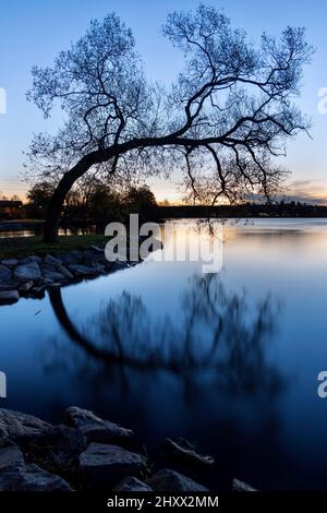 Un colpo verticale di alberi da sagome vicino ad un lago con un cielo colorato a orizzonte a Sigtuna, Svezia Foto Stock