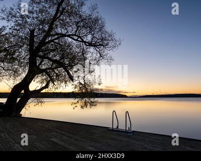 Bella scena di un albero di sagome vicino a un lago con un cielo colorato orizzonte a Sigtuna, Svezia Foto Stock