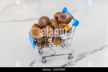 Mini carrello riempito con lampadine gladiolus Foto Stock