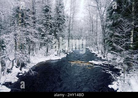 Inverno Nongeling scalinata letto fiume nelle rive innevate. Europa settentrionale Foto Stock