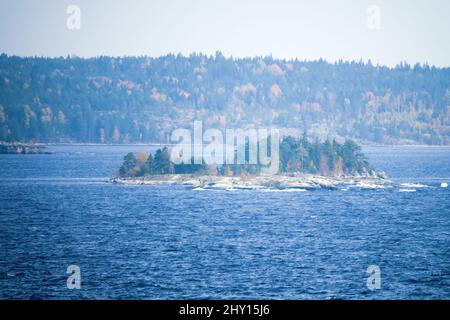 Scudo cristallino del Baltico, esker. Paesaggio glaciato (lacciamento glaciale). capo di pietra, pietra del sheepback con la betulla di autunno piccola, pini nani in Lad del nord Foto Stock