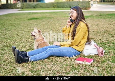 Vista laterale del corpo pieno del proprietario femminile del soddisfare che ha conversazione del telefono mentre si siede sul prato erboso vicino il cane cute nel parco Foto Stock