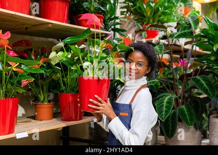 Vista laterale del fiorista femminile afro-americano positivo con fiori di Anthurium rosso in vaso guardando la macchina fotografica mentre lavora in negozio di fiori con varie pl Foto Stock